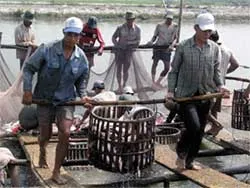Xóa ngay kiểu làm ăn chụp giựt