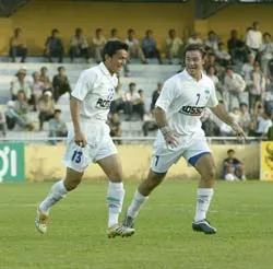 “Gỗ” không máu vô địch? ảnh 1