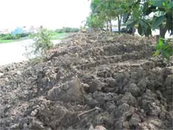 Bài 2: :Bùn đổ đi đâu?