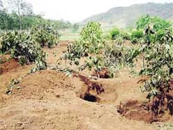 Tan hoang di chỉ khảo cổ Làng Vạc