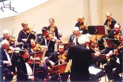 Nghệ sĩ violon I trong dàn nhạc giao hưởng Đức ảnh 2