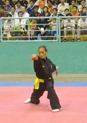 Bế mạc Liên hoan Quốc tế Võ Cổ truyền Việt Nam lần thứ I-2006 ảnh 2