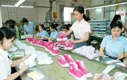 Điều kiện để da giày xuất khẩu hội nhập