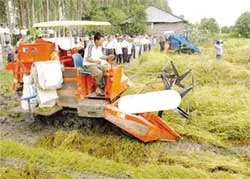 Vẫn loay hoay trước cửa WTO