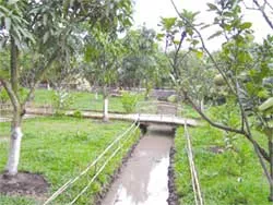 Dã ngoại vườn Thiên Thanh