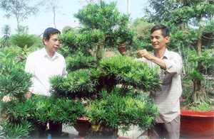 Mr. Huynh Cham(R) from Binh Duong province takes care of a 200-year-old plant