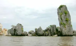 Sẽ phục dựng ảnh 2