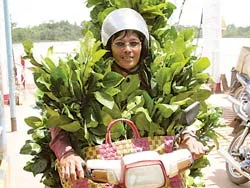 Hơn 125 tỷ đồng phát triển 4.000 ha bưởi da xanh đặc sản