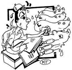 Lãng phí, không thực tế