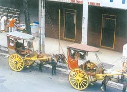 Du khách thích, quản lý không thích?!