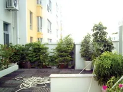 Penthouse - nhà của “đại gia” ảnh 2