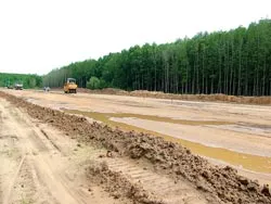 Rừng Cần Giờ, bây giờ cần gì?