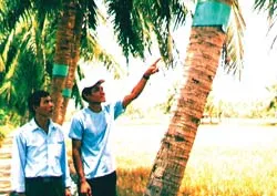 Từ làng đến phố ảnh 2