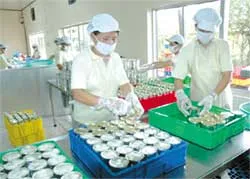 Cầu nối thúc đẩy xuất khẩu