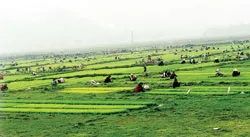 Đi theo những câu hát xa xưa