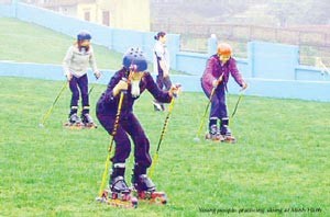 Grass Skiing Available in Viet Nam ảnh 1