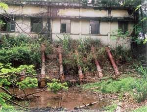 Power Cuts Cause Losses to Production in Greater HCMC Area ảnh 1