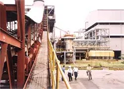 Nhiều lợi thế, nếu biết khai thác