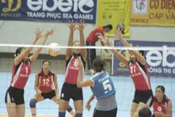 Chưa có bất ngờ ảnh 1