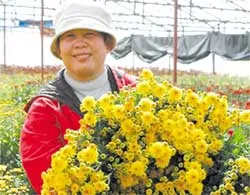 Người Tây hồ trên cao nguyên Lâm Viên ảnh 2