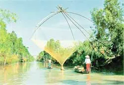 Bài hát hay từ điệu Xuân Nữ