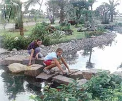 Suối hoa giữa phố