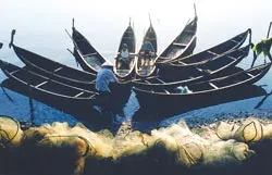 FIAP "Phó nháy làng" ảnh 2