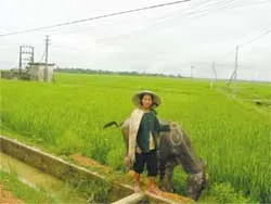 Làng “trời đánh”