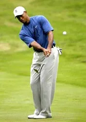 Tom Lehamn: “Tuyển Mỹ cần Tiger làm gương” ảnh 1