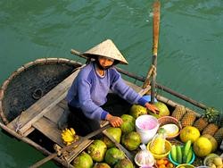 Raising Fruit Quality in Mekong Delta ảnh 1