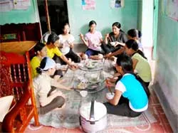 Hái chè thuê ảnh 2
