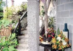 Có một Đà Lạt giữa Sài Gòn