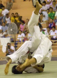 Đòn cấm! ảnh 1