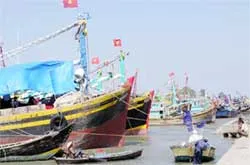 Hơn 7.300 tỷ đồng đảm bảo an toàn người và tàu cá