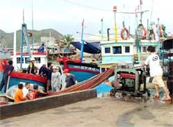 Bình Định : Trên 100 tàu khai thác cá ngừ Đại Dương ra khơi
