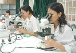 Bài 1: Trường đại học - bao giờ?