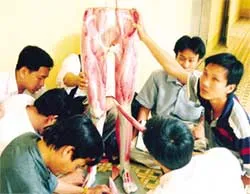 Bài 2: Đề án viện- trường: “máy cái” đào tạo và phát huy nguồn nhân lực y tế