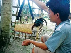 Đi bẫy gà rừng