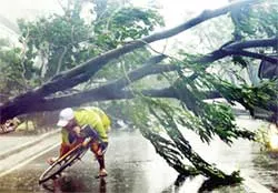 Nhiệm vụ cấp bách: Đối phó bão số 6 ảnh 3