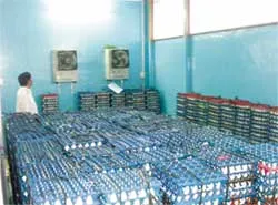 73 vựa kinh doanh trứng đã kiểm dịch và khử trùng