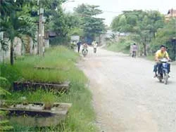 Biệt thự... làng