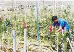 Liên kết để tạo sức mạnh