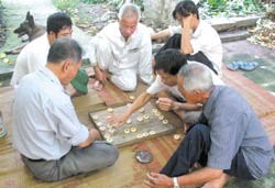 Building up Library for Villagers ảnh 2