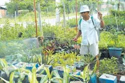 Cẩn thận với  thuốc trừ sâu