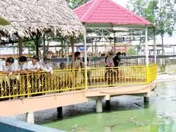 Tour cho phái đẹp