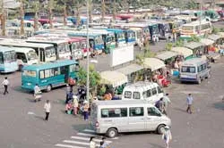 Chưa có “thuốc đặc trị”