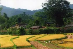 Ý thức làm ra tiền