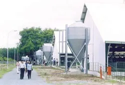 Nhắm đến quy trình chăn nuôi khép kín hiện đại