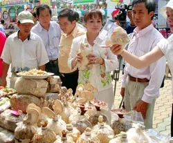 Các chương trình, mô hình của TPHCM “hút” khách