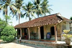 Nhà cổ bỏ quê lên phố